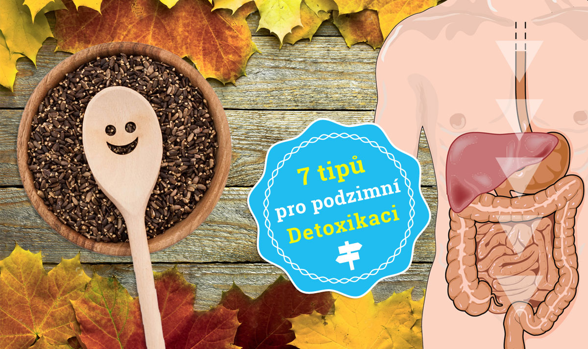Podzimní detoxikace s Ostropestřcem mariánským - 7 jednoduchých tipů