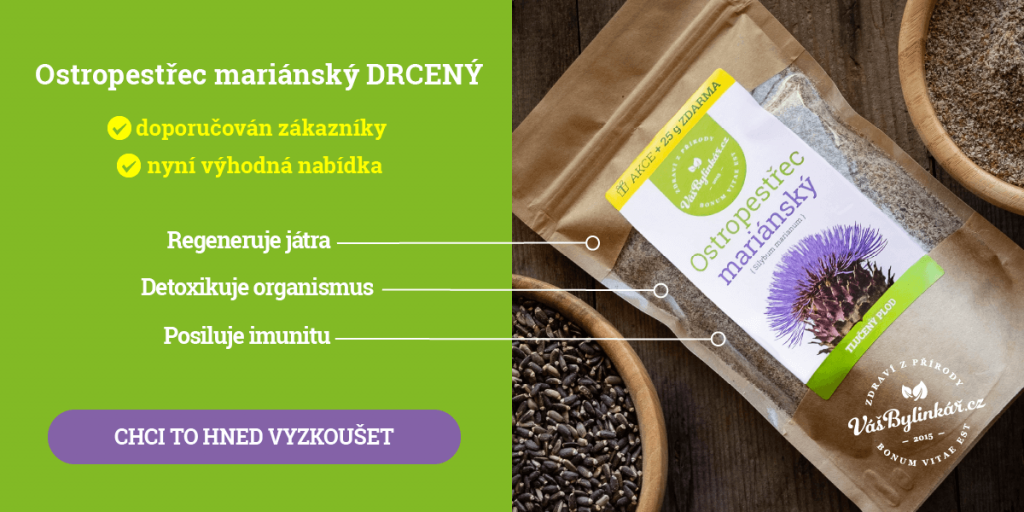 Regenerace jater a detoxikace organismu pomocí Ostropestřce mariánského