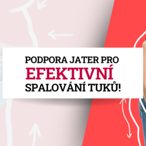 Ostropestřec mariánský, podpora jater pro efektivní spalování tuků!