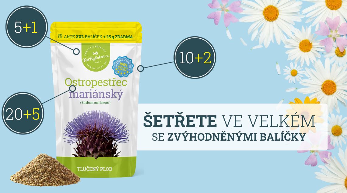 Ostropestřová kúra se zvýhodněnými balíčky se kterými lze ušetřit až 1500 Kč